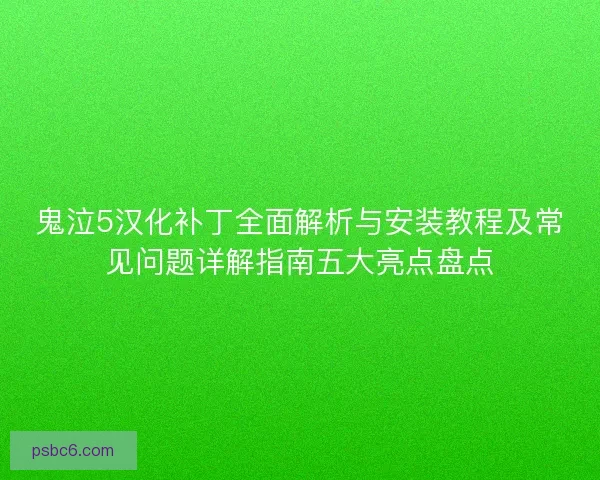 鬼泣5汉化补丁全面解析与安装教程及常见问题详解指南五大亮点盘点